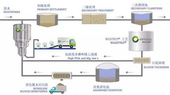芝加哥Stickney污水處理廠 計(jì)算機(jī)系統(tǒng)服務(wù)如何助力打造全球最大營(yíng)養(yǎng)物質(zhì)回收系統(tǒng)