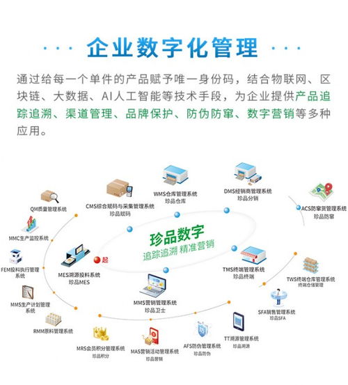 賦能管理，驅動未來 珍品數字發布全新企業數字化解決方案與數據處理服務