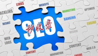 互聯(lián)網(wǎng)營(yíng)銷(xiāo)實(shí)戰(zhàn)指南 破解網(wǎng)站收錄難題，實(shí)現(xiàn)銷(xiāo)售落地為王